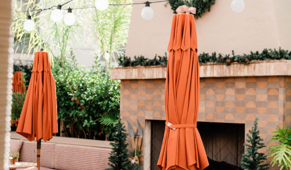 holiday backyard at Little Palm