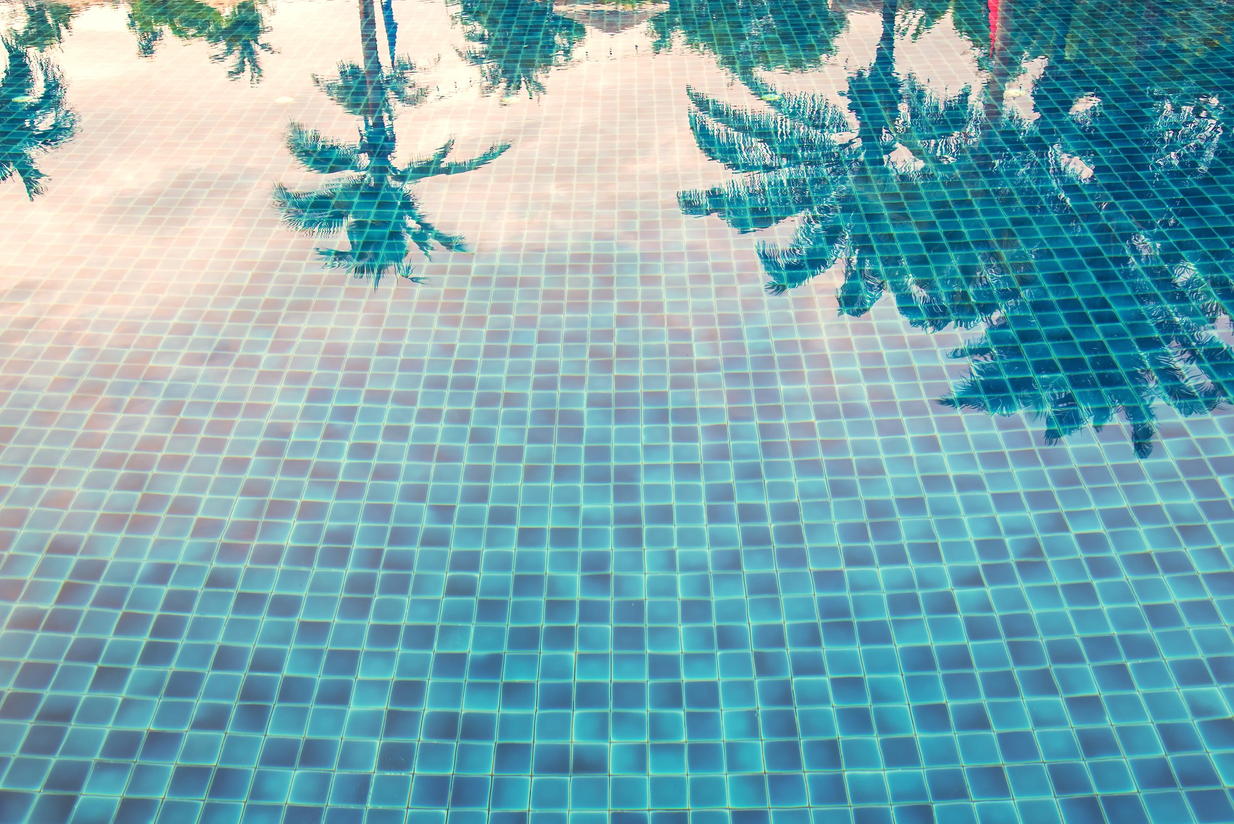 Reflection of palm trees over swimming pool