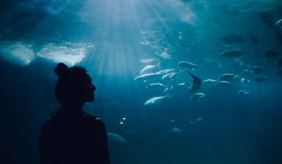 Silhouette of a young woman watching fish in a large aquarium.