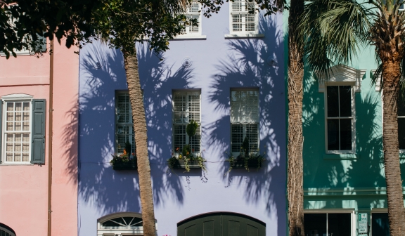Closeup of the palm tree trunks outside the Ryder Hotel.