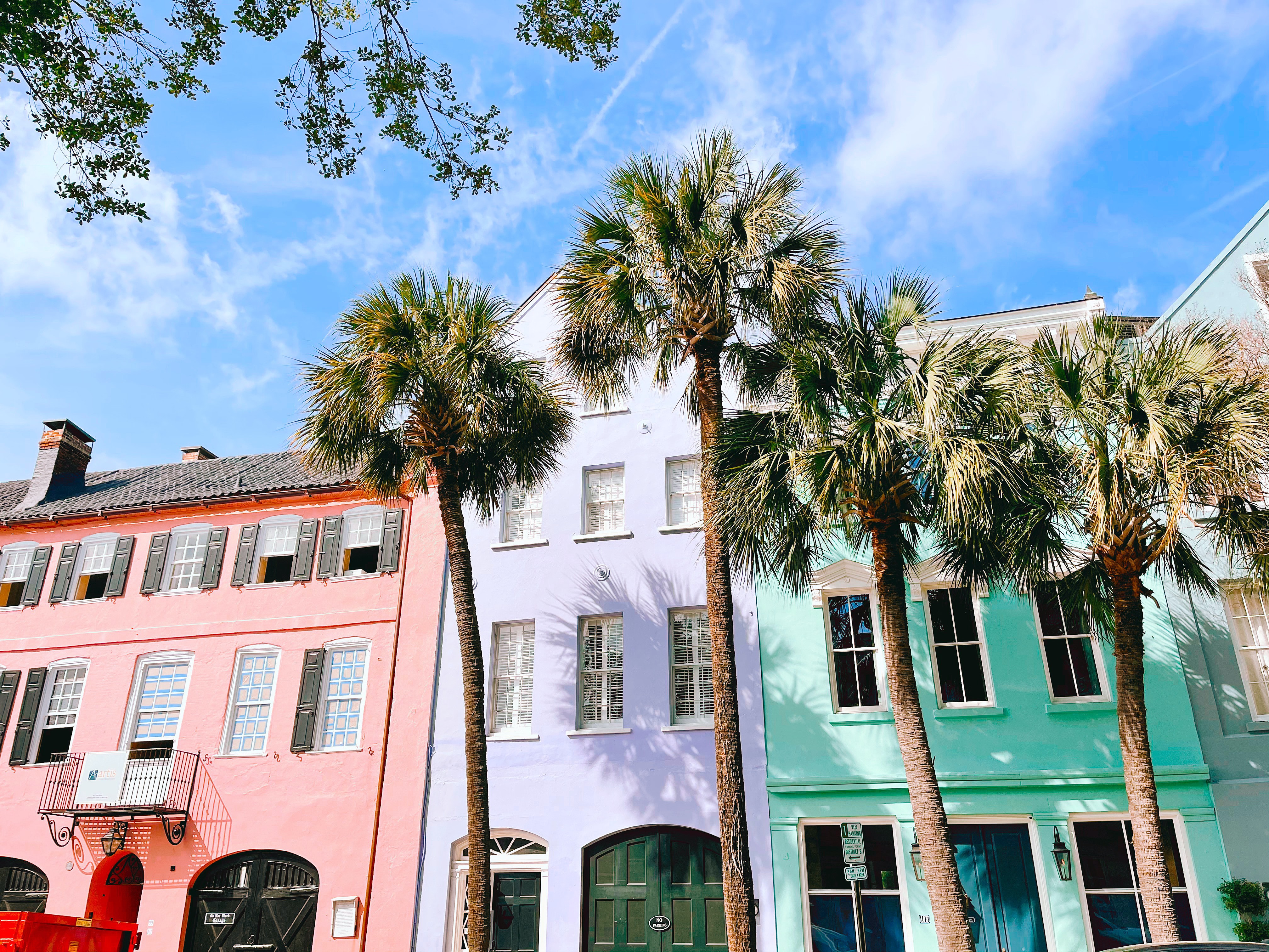 Palm-tree lined street in Charleston