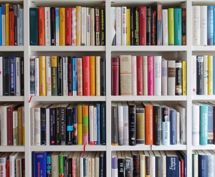 a shelf of colorful books