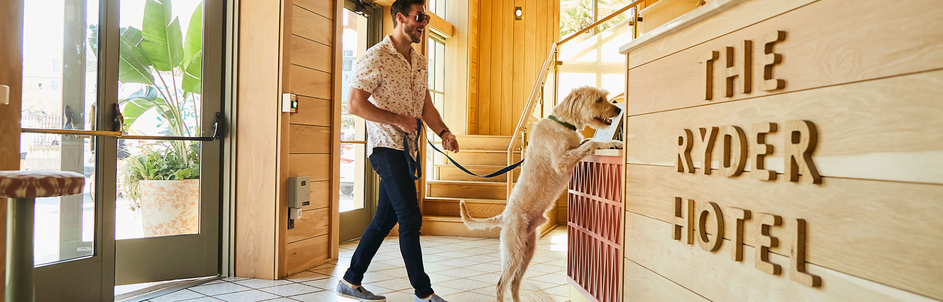 A man checking in with his dog