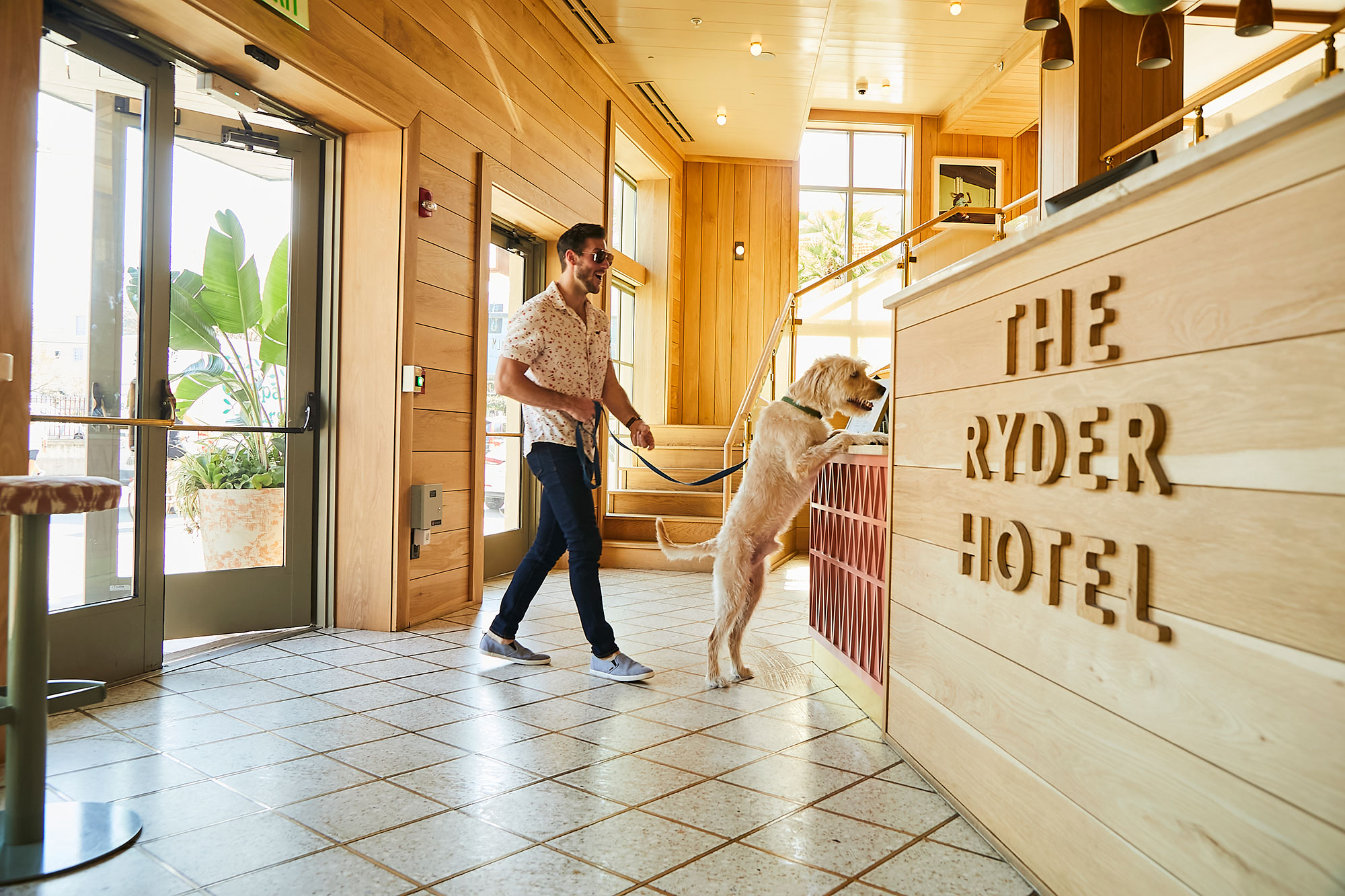 A man checking in with his dog