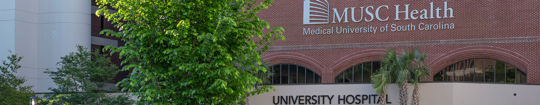 Medical University of South Carolina campus