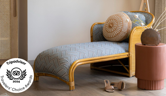 chaise lounge sofa with a pillow, shoes on the ground, and a plant vase next to it with a TripAdvisor company 